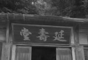 延寿恒：传承百年-铸就卓越品牌