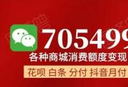 京东白条付费额度怎么套出来简单方法?白条付费额度取现