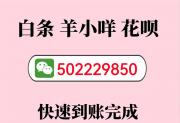 羊小咩怎么提出来秒到账-推荐三位秒到商家